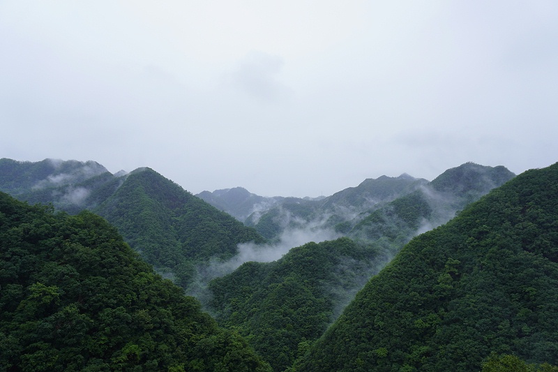 河南雙志團建風(fēng)景圖